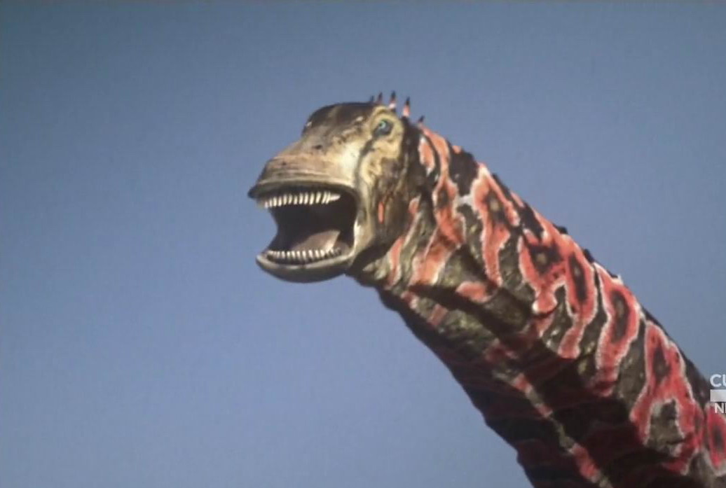 丁赫罗龙(dinheirosaurus)