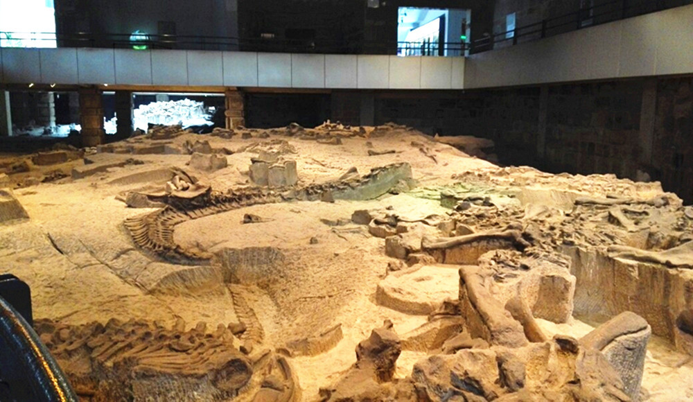  p data-id="gnwpkyqmls">大山铺恐龙化石群遗址(自贡大山铺恐龙化石