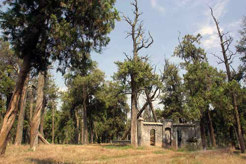  p>魏征墓位于 a>河南 /a>省 a href="#" data-lemmaid="566392">商丘