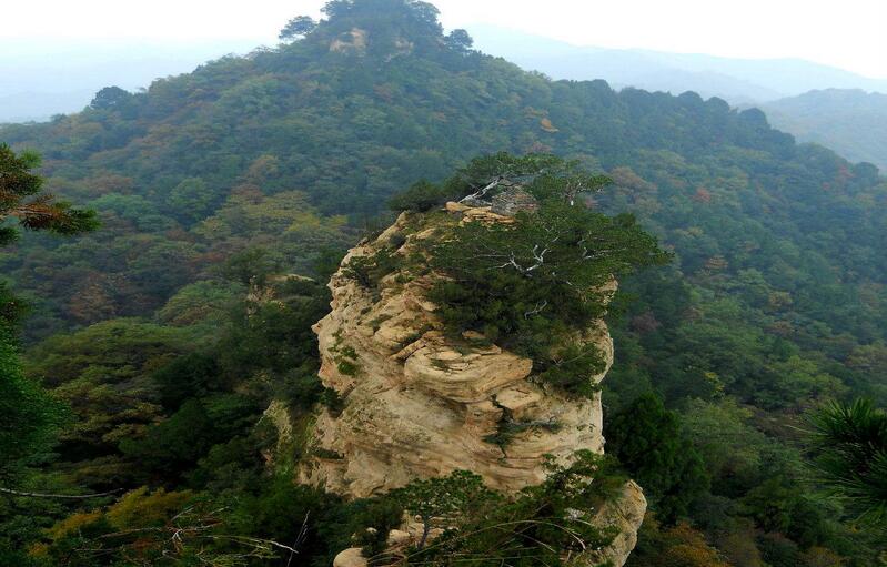  p>石猴山位于山西兴县,海拔1600余米,山势延绵,峰峦叠嶂,翠柏森森