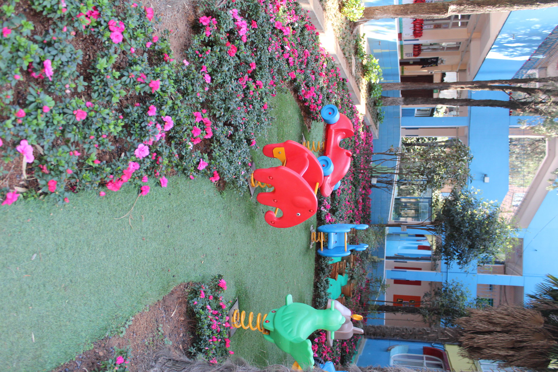 云南大学幼儿园