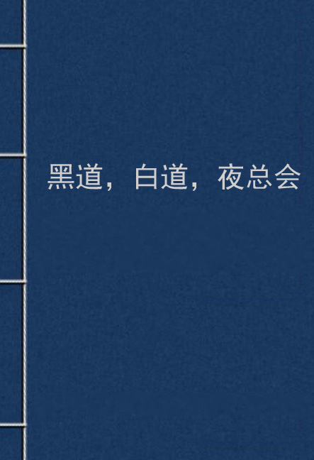 黑道白道夜总会