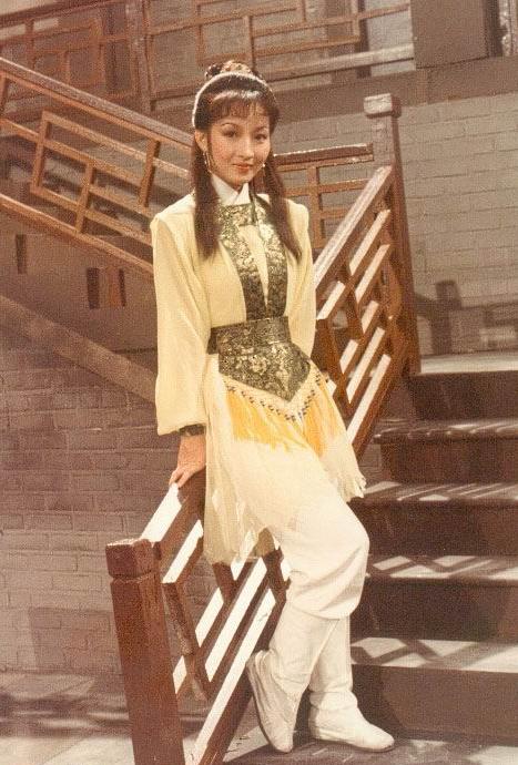  p>《龙仇凤血》是1980年上映的一部古装电视剧,由邹世孝监制, a