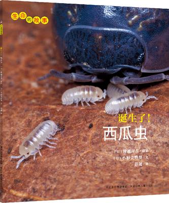 诞生了!西瓜虫