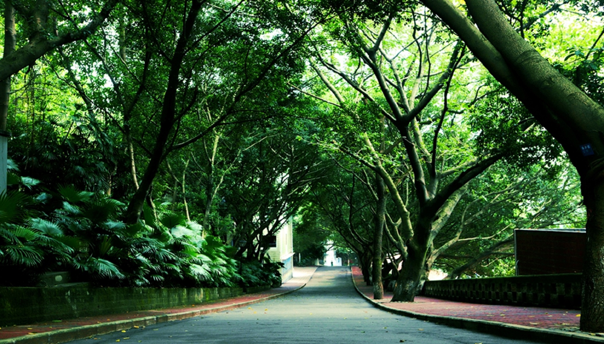 ѧУշѱ׼_ѧУѧ_ѧУѧѶǮ