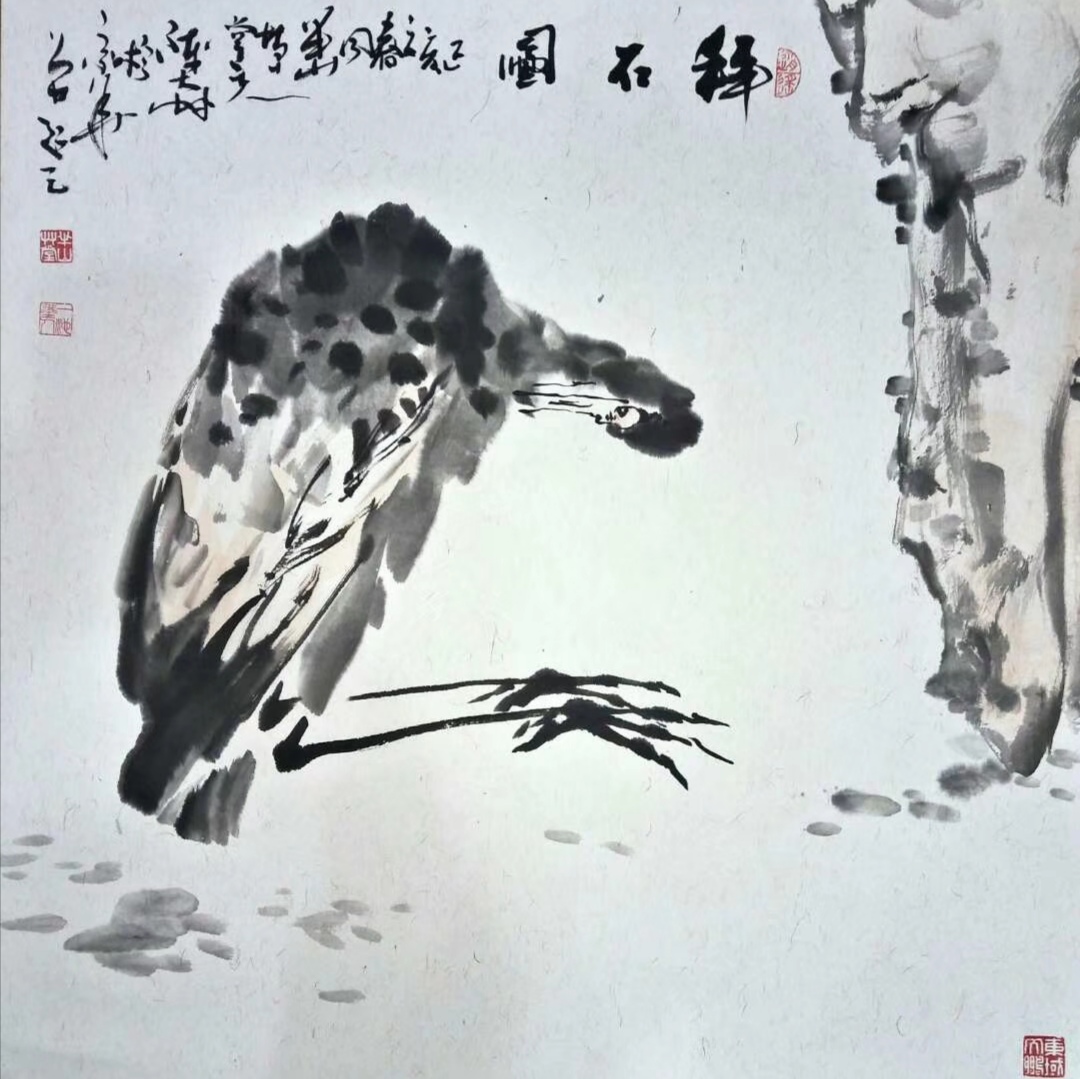 陈大鹏