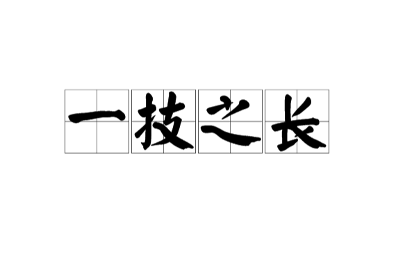 一技之长
