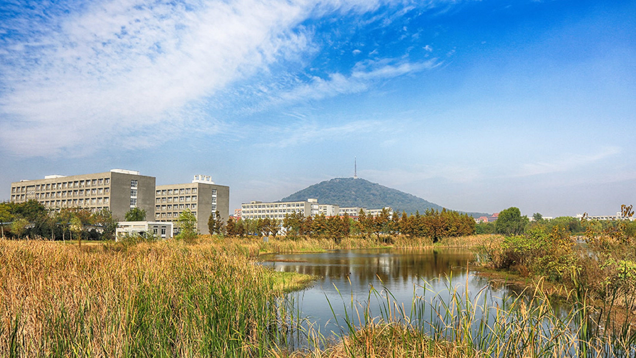安徽新华学院