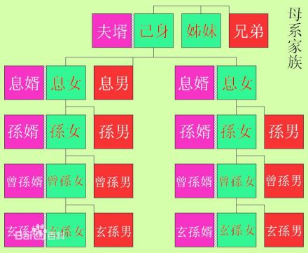 中国人亲戚关系图表_百度百科