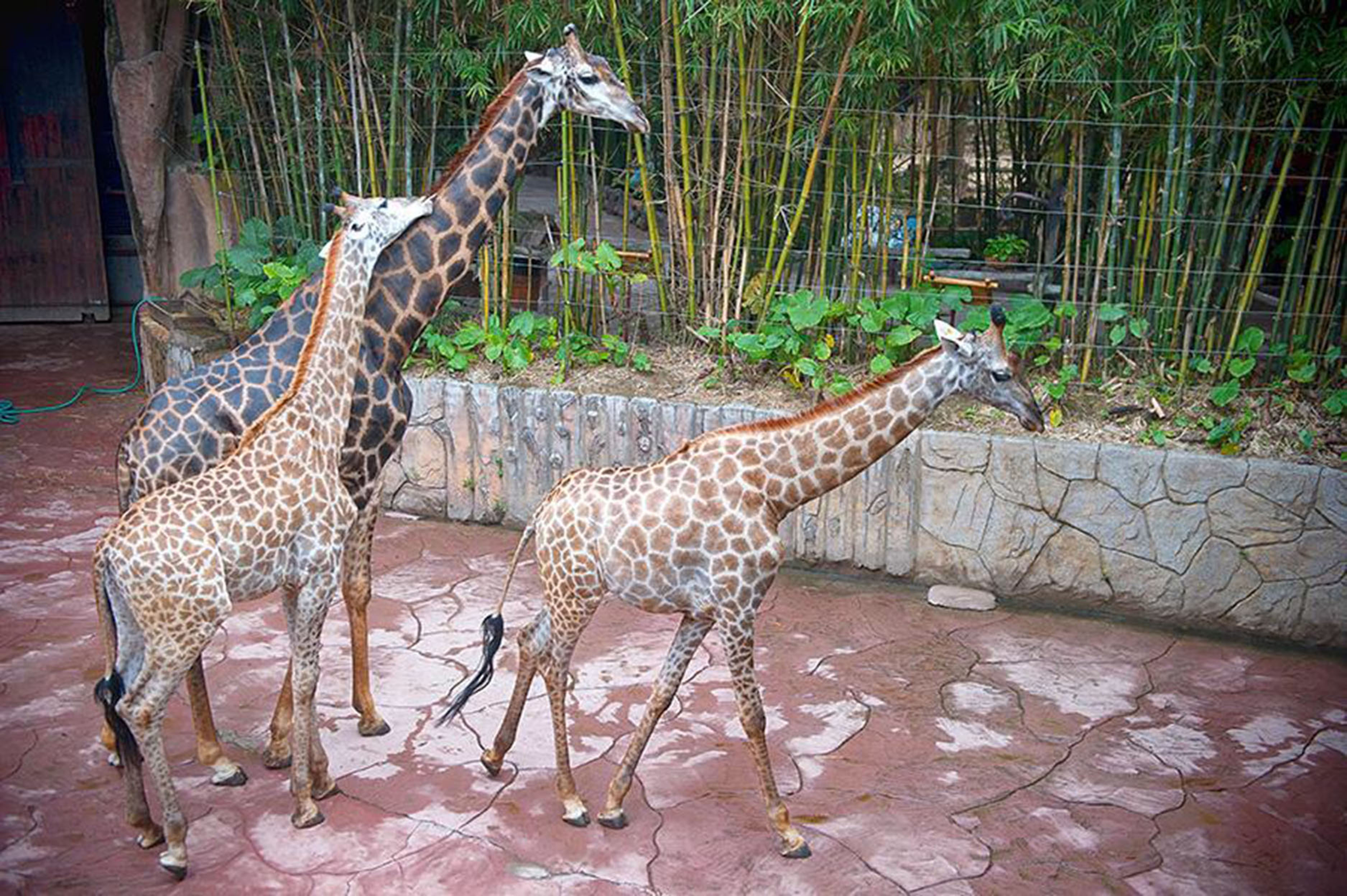 长鹿休闲渡假农庄