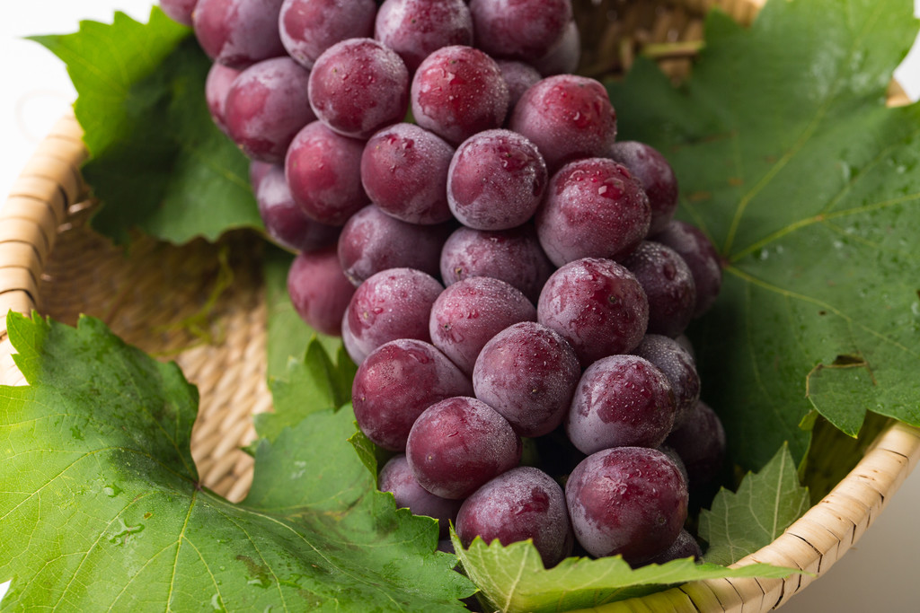 葡萄