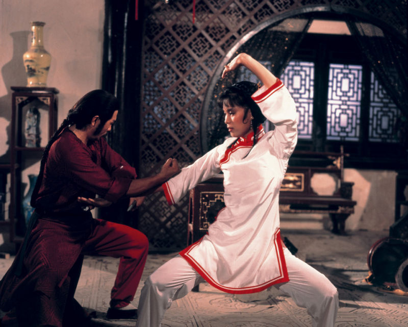 《南北狮王》是1981年徐虾,钱月笙导演的动作电影