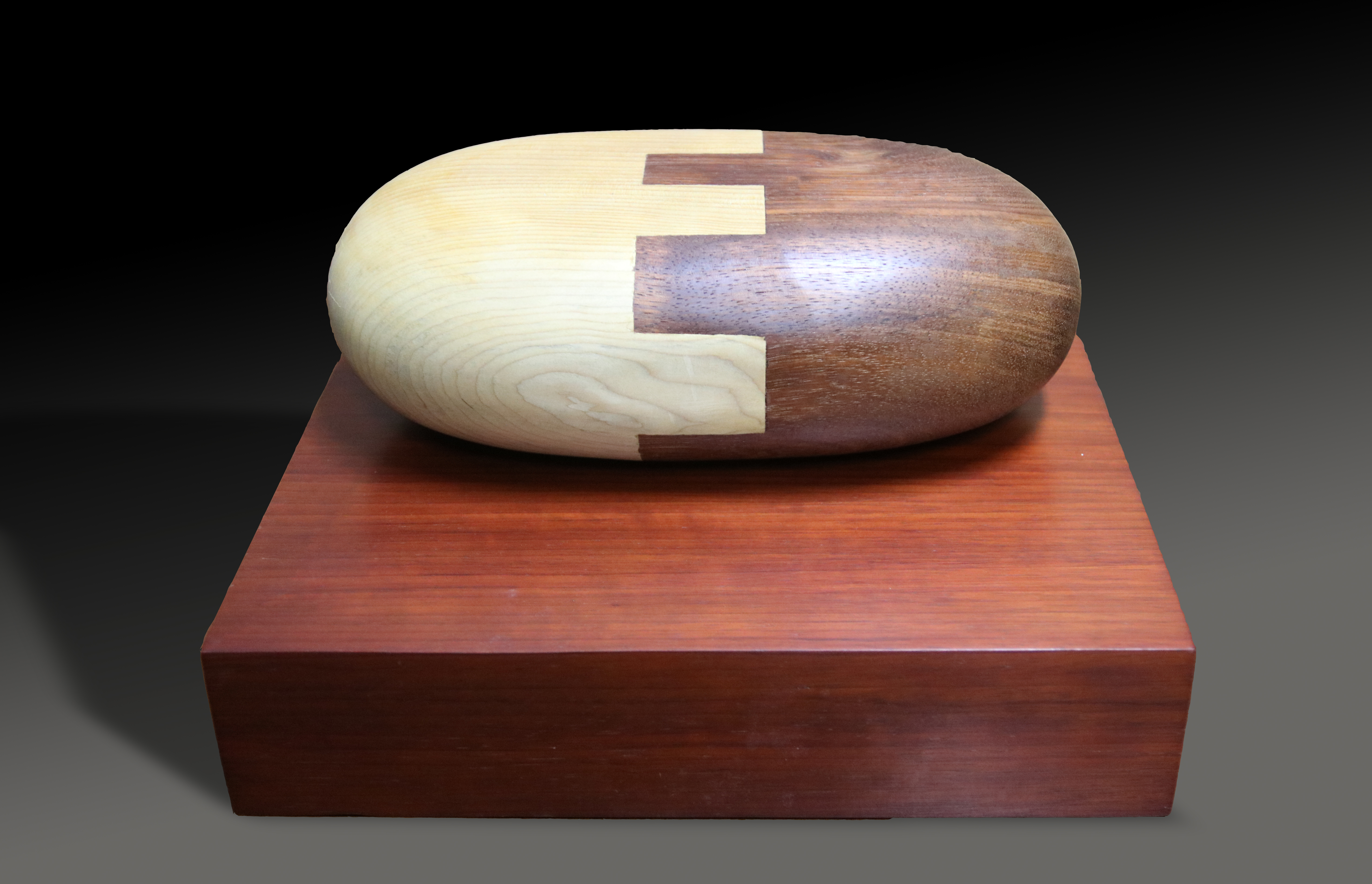 傅中望一系列的《种子》作品表述的是一种思考:当今世界一切都是因为