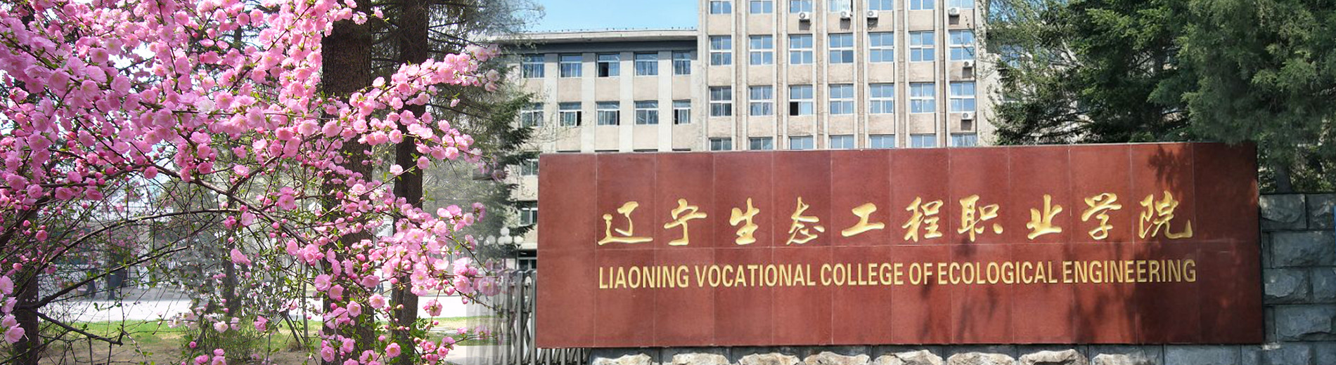  p>辽宁生态工程职业学院(liaoning vocational college of