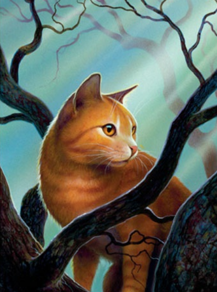 data-lemmaid="4739018">猫武士 /a>》中的族群之一,性格勇敢忠诚