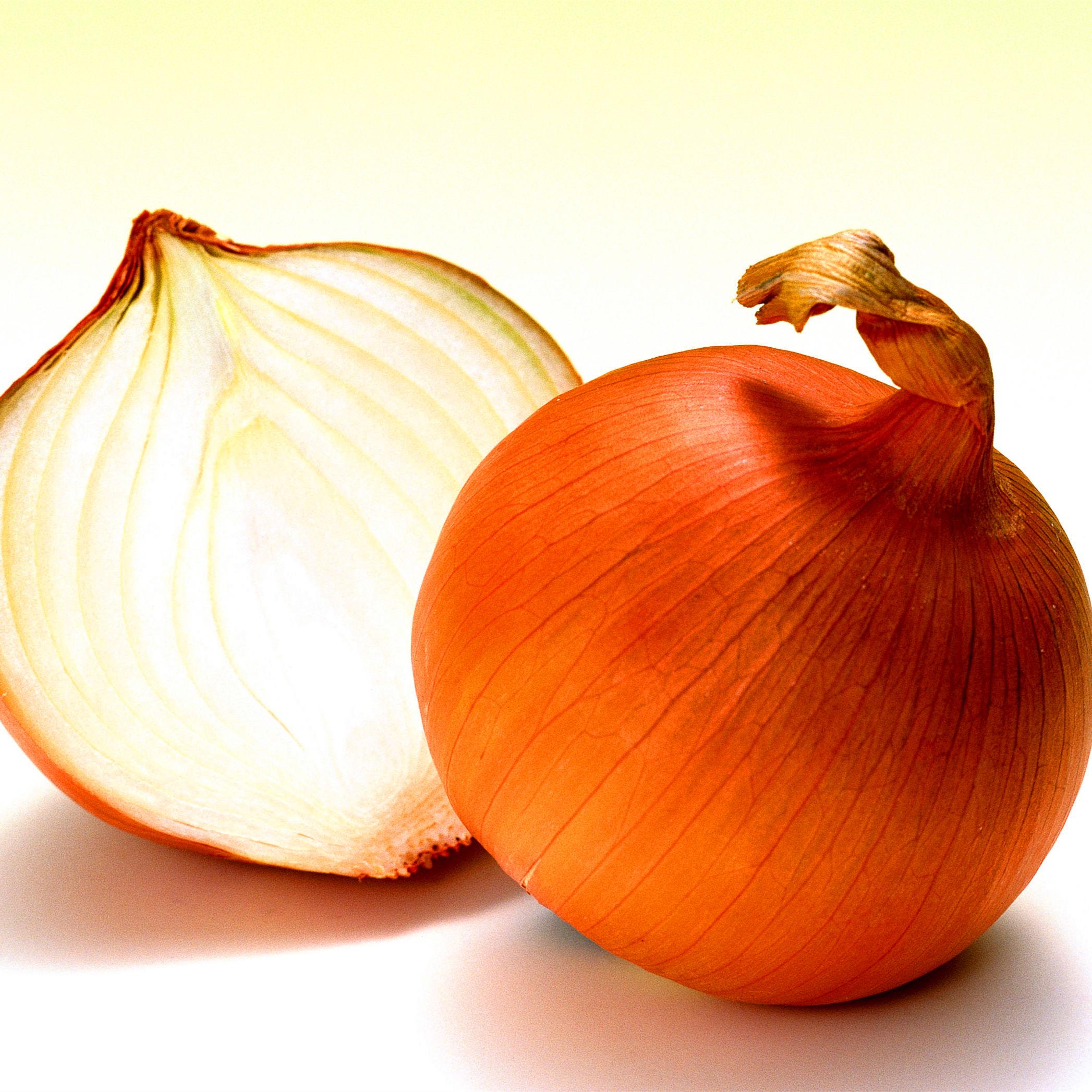  p data-id="txtnpguuuw7p">洋葱( i>allium cepa /i> l.