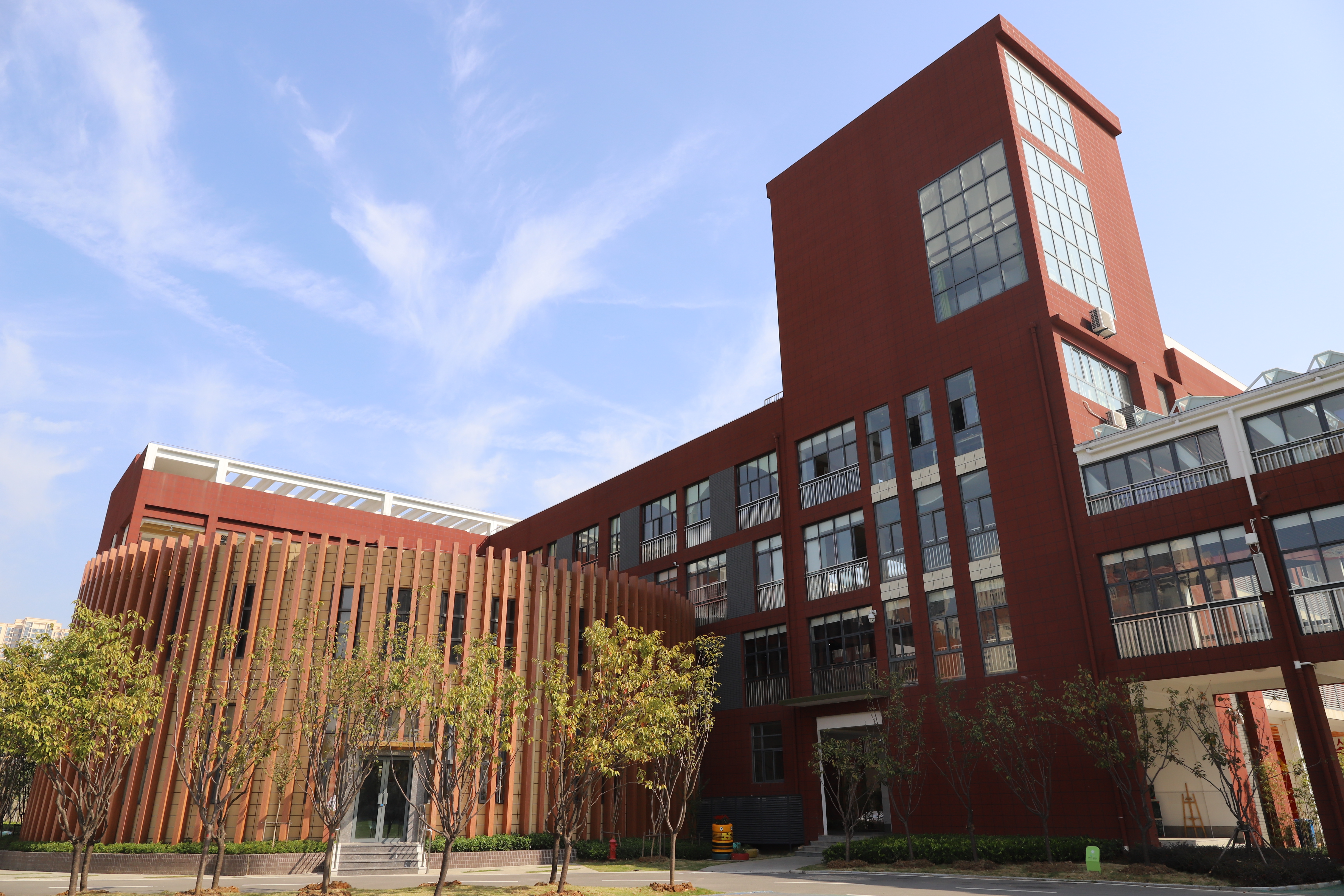 武汉市洪山实验小学