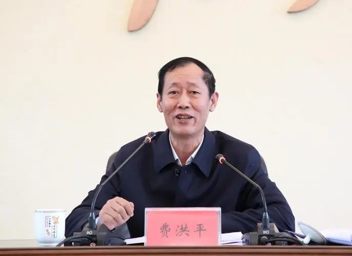 费洪平