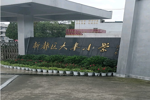 大丰小学