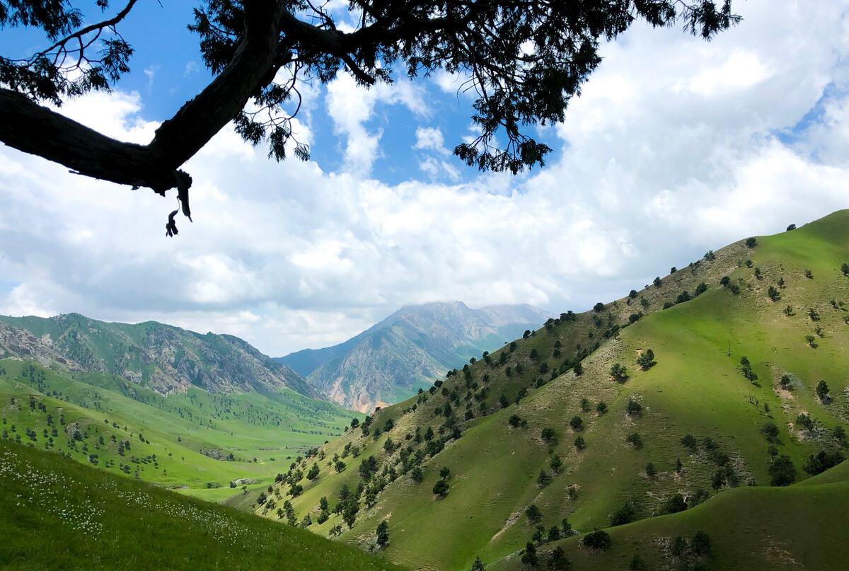  p data-id="gntcfimbyj">德令哈市,青海省辖县级市,由海西蒙古族藏族