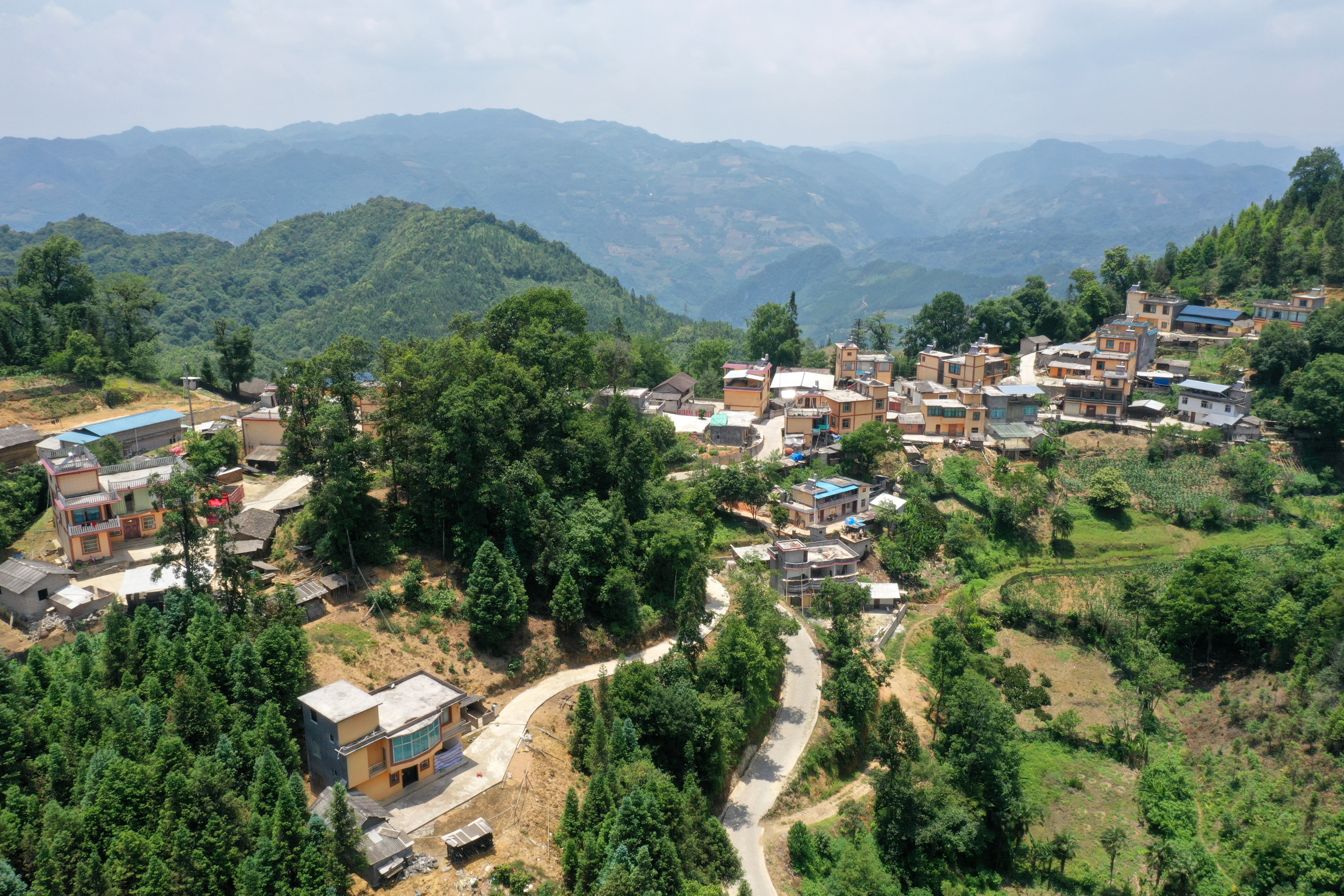  p>该村委会隶属 a target="_blank" href="/item/屏边县/1202173"