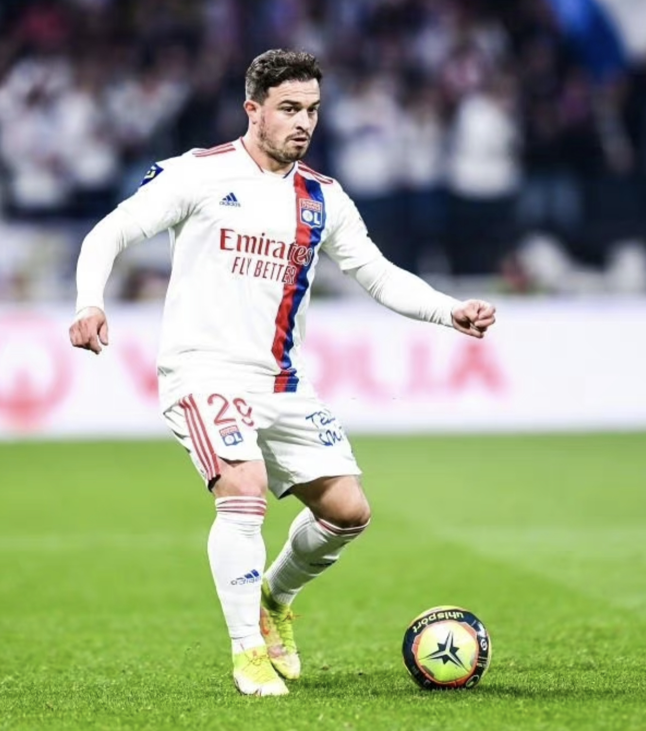 谢尔丹·沙奇里