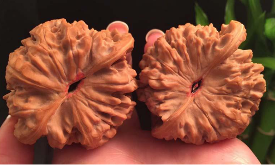 官帽核桃：文玩核桃的精髓_百科TA说