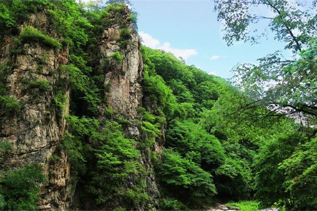  p data-id="t1y8xhalknma">玉龙溪原始森林公园位于抚顺市清原满族