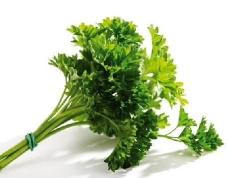  p data-id="gnwfdppmwx">法香,欧芹的别称,为多年生草本,叶片用途