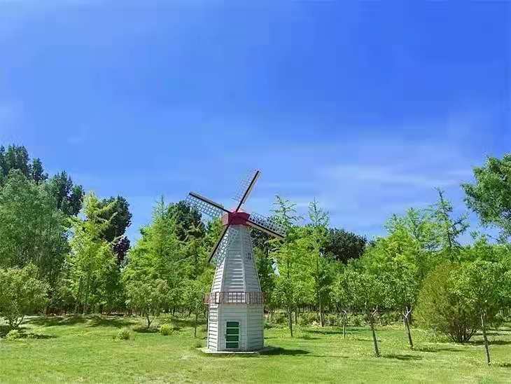 大兴永定河绿色港湾2021郁金香艺术文化节