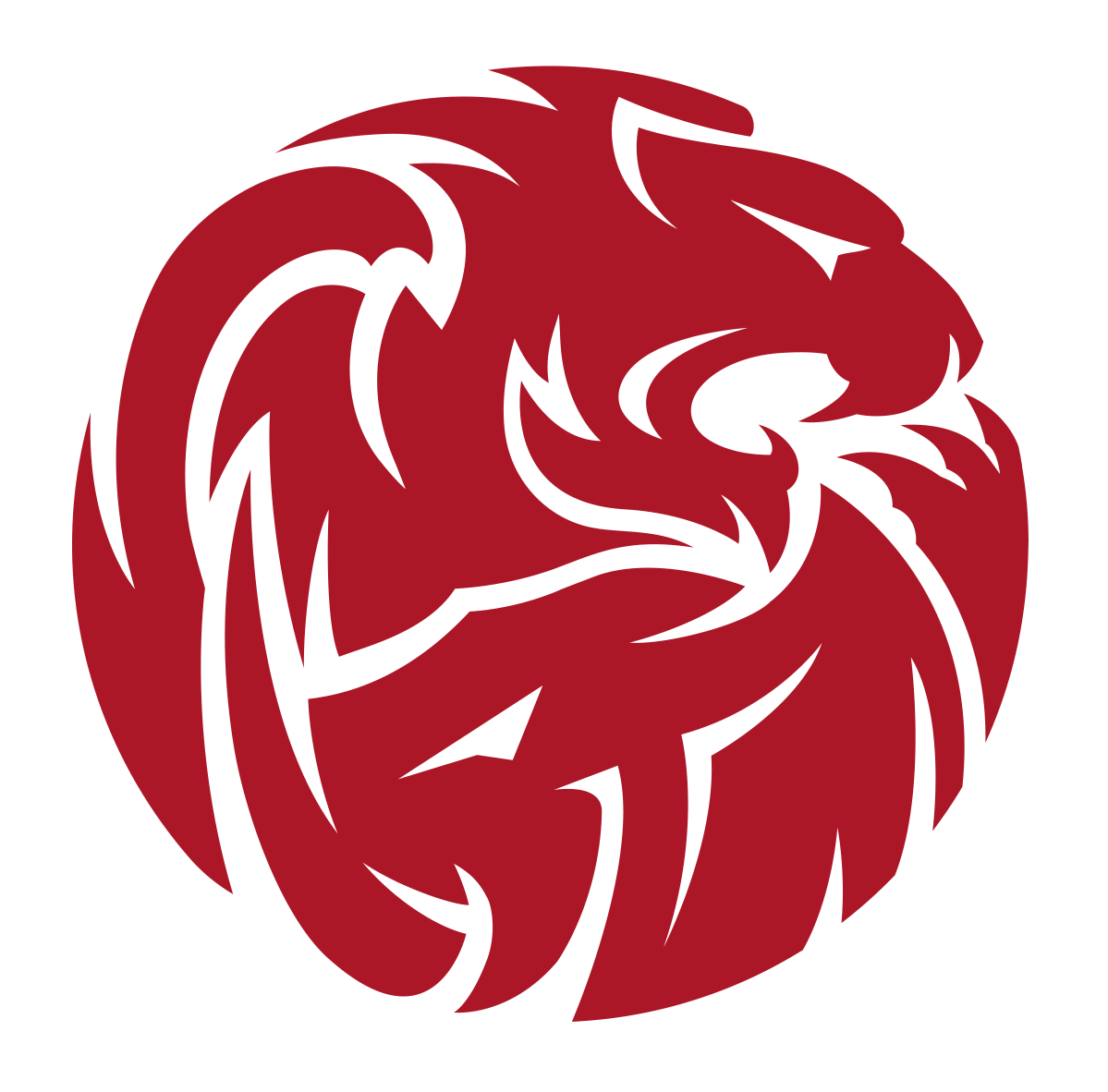 重庆鼎霸体育文化传播有限责任公司