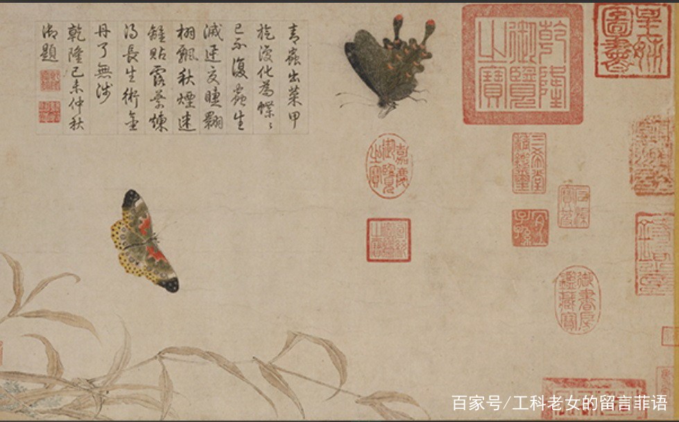 欣赏传世名画中的蝶恋花和蜻蜓点水_百科TA说