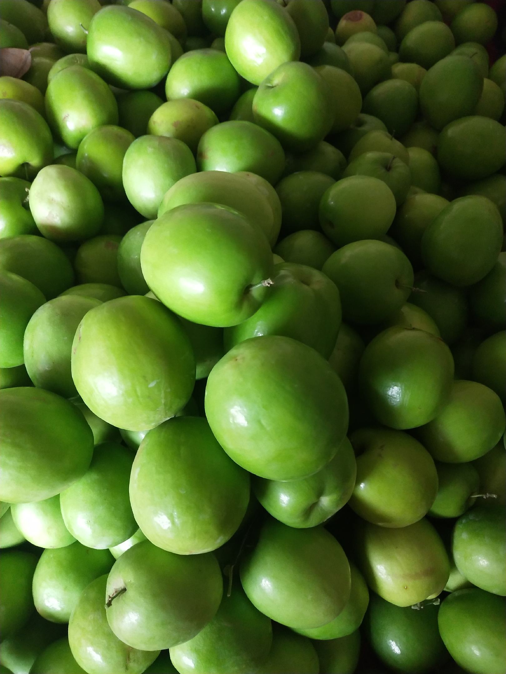 href="/item/青枣/10418787" data-lemmaid="10418787">青枣 /a>,品种