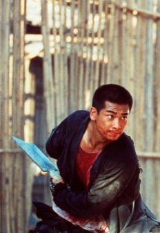 刀（1995年徐克执导的武侠动作片）_百度百科