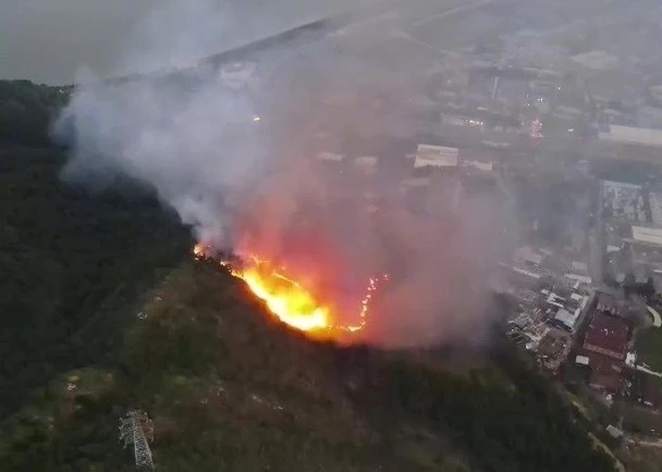 11·13肇庆山火是2020年11月13日<a target=