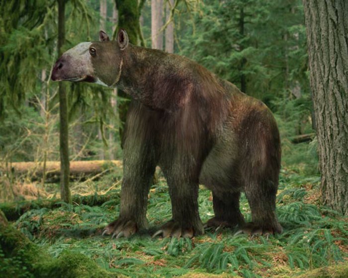  p>砂犷兽是爪兽科的一种动物.