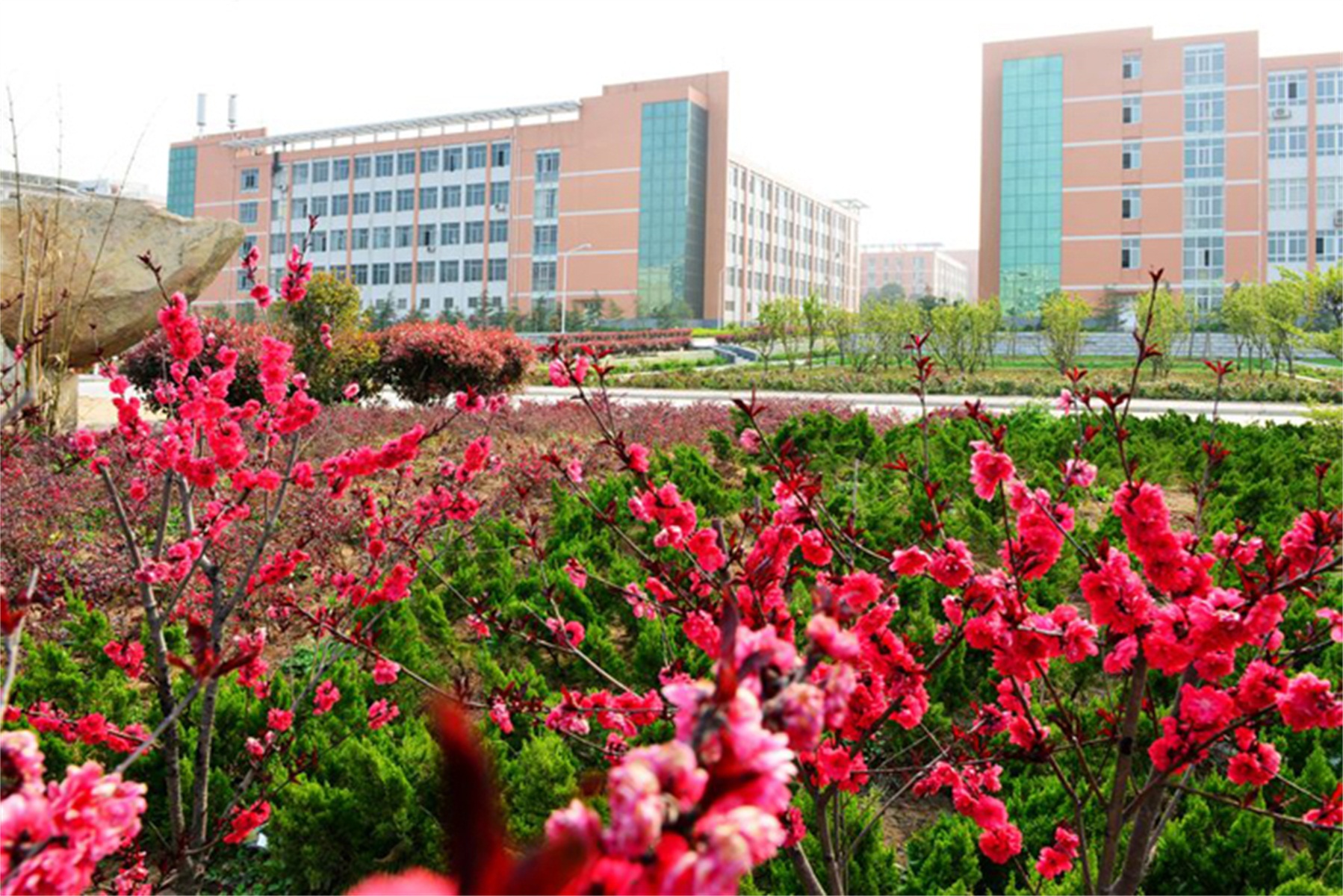 medical college),简称"南阳医专",坐落于"中华医圣" a target="