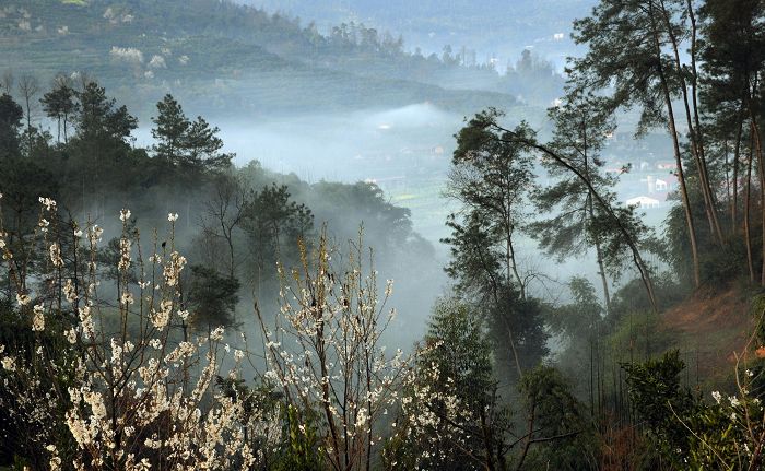 蒲江樱桃山景区