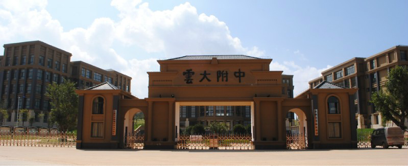 云南大学附属中学
