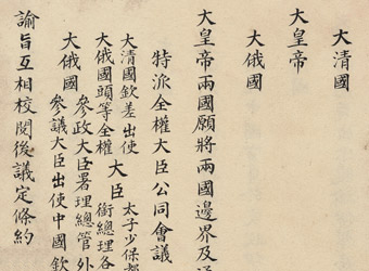  p>《中俄伊犁条约》,一般指1881年 a href="#" data-lemmaid="941787