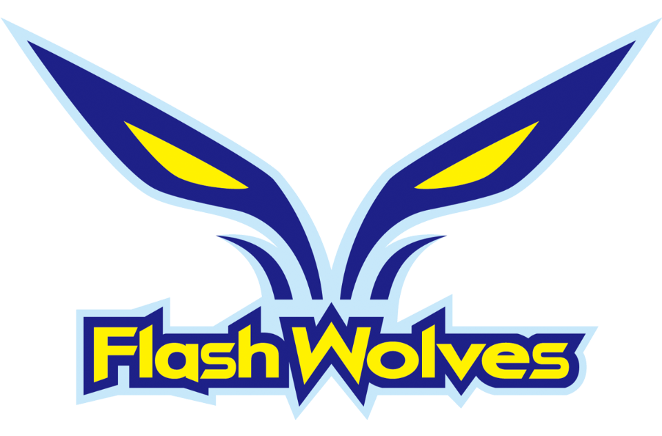 闪电狼职业电竞队