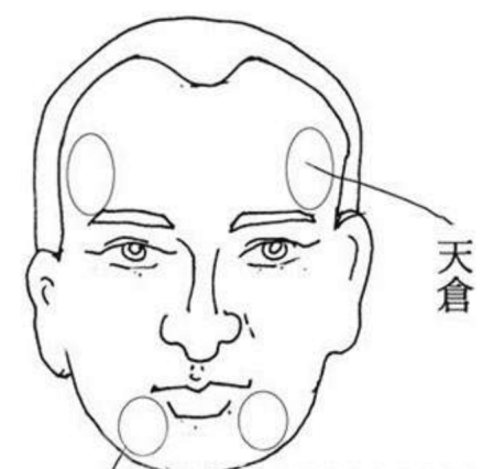 天仓（相学术语）_百度百科
