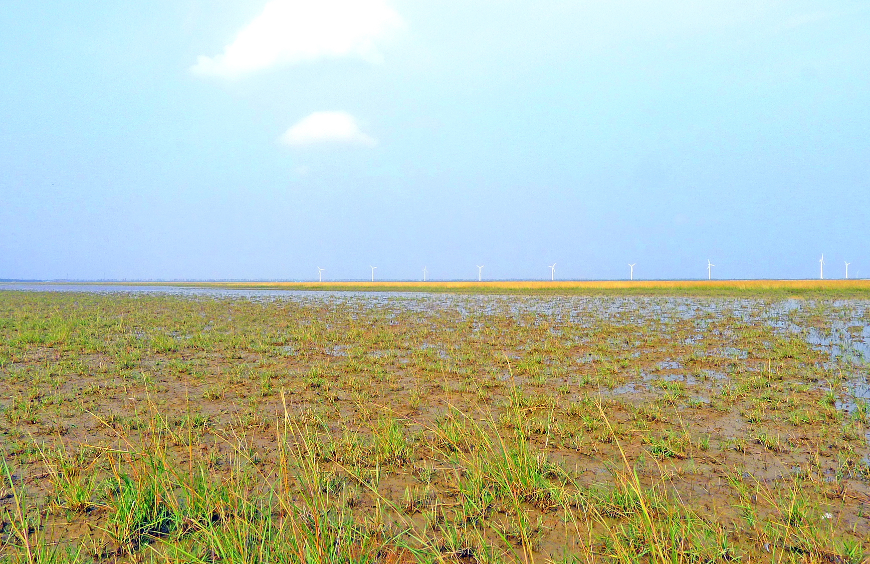 江苏盐城保护区