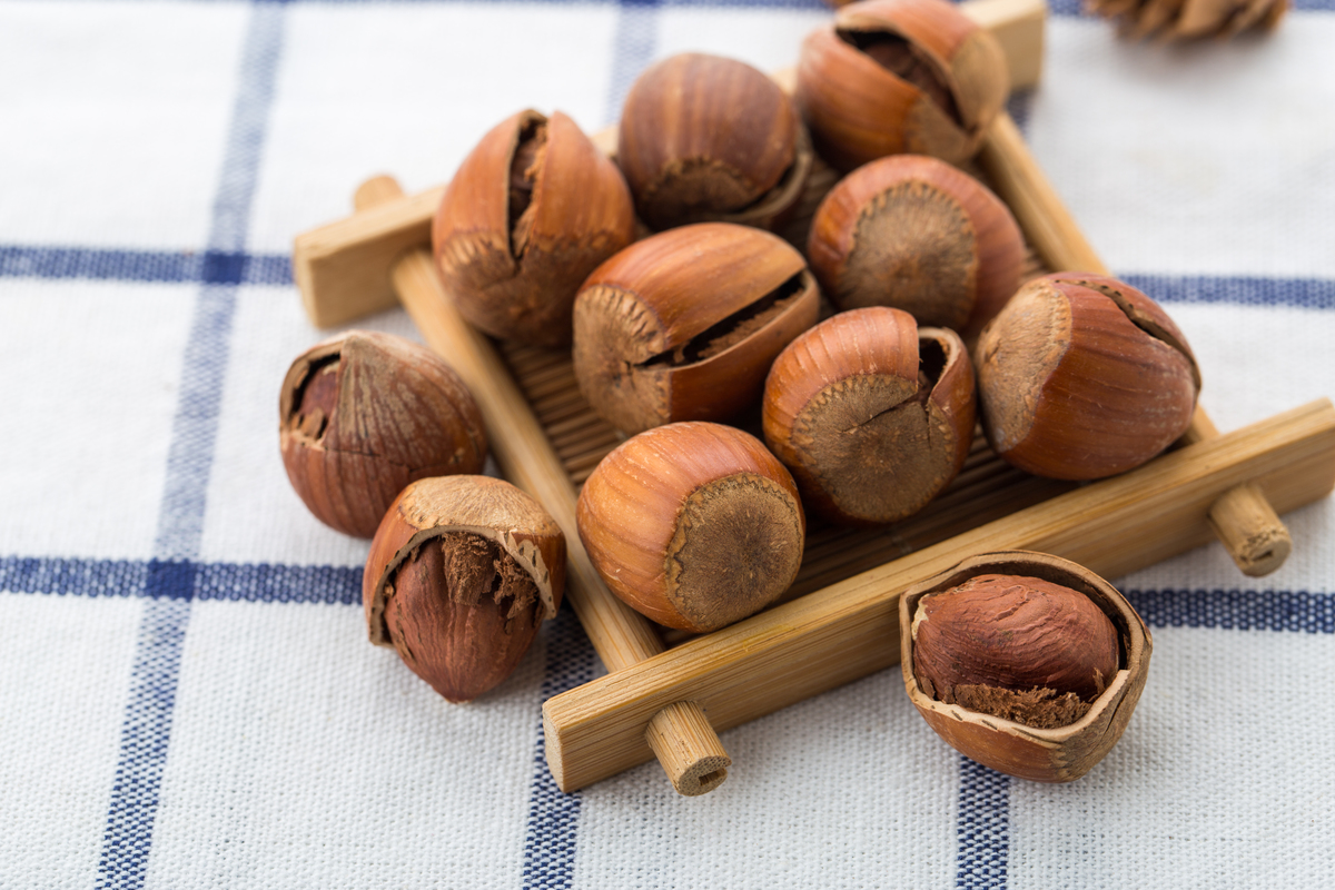 坚果之王榛子(坚果之王是什么坚果)