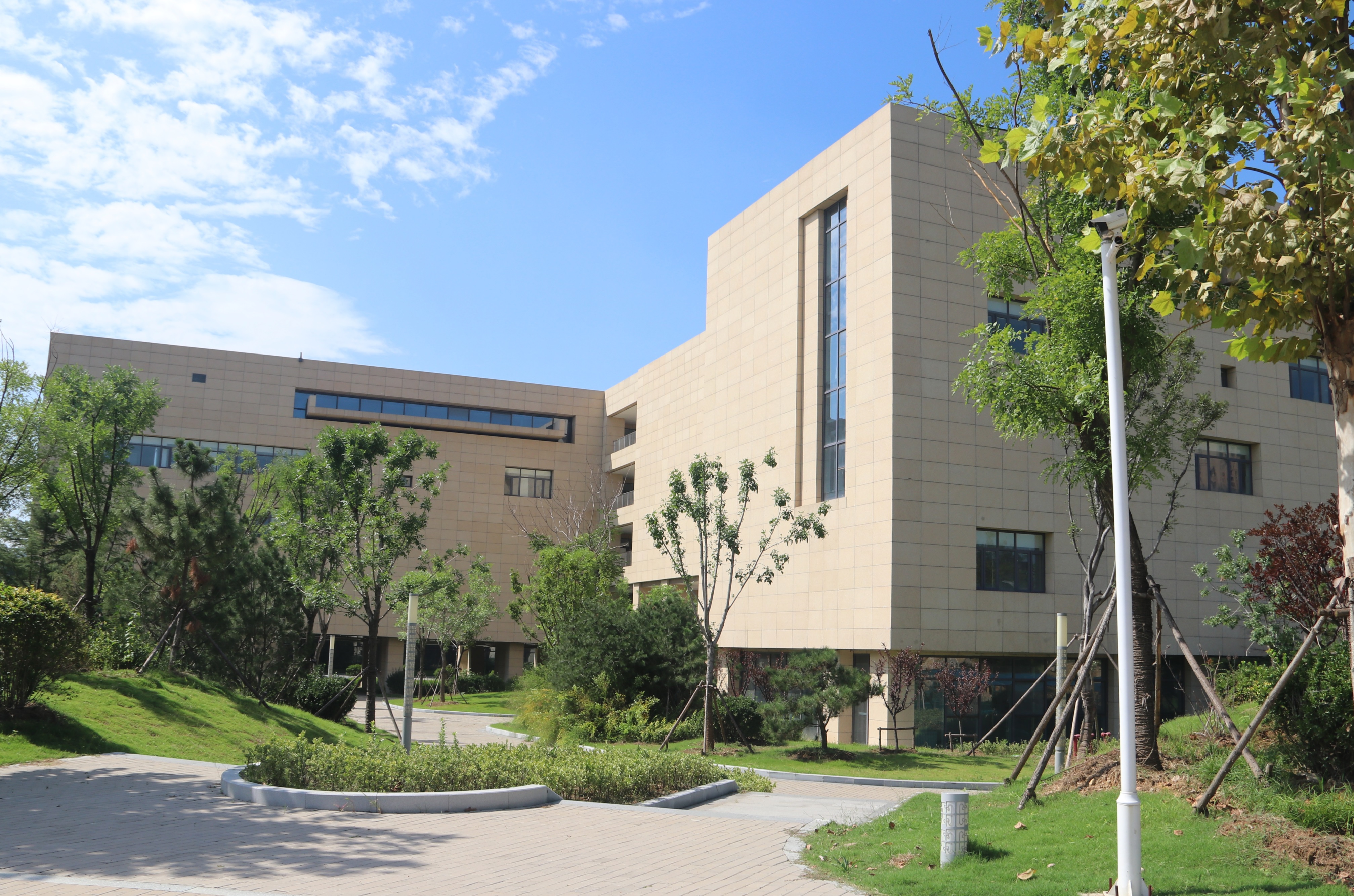 财经大学有哪些学校山东(财经大学有哪些学校山东录取分数)