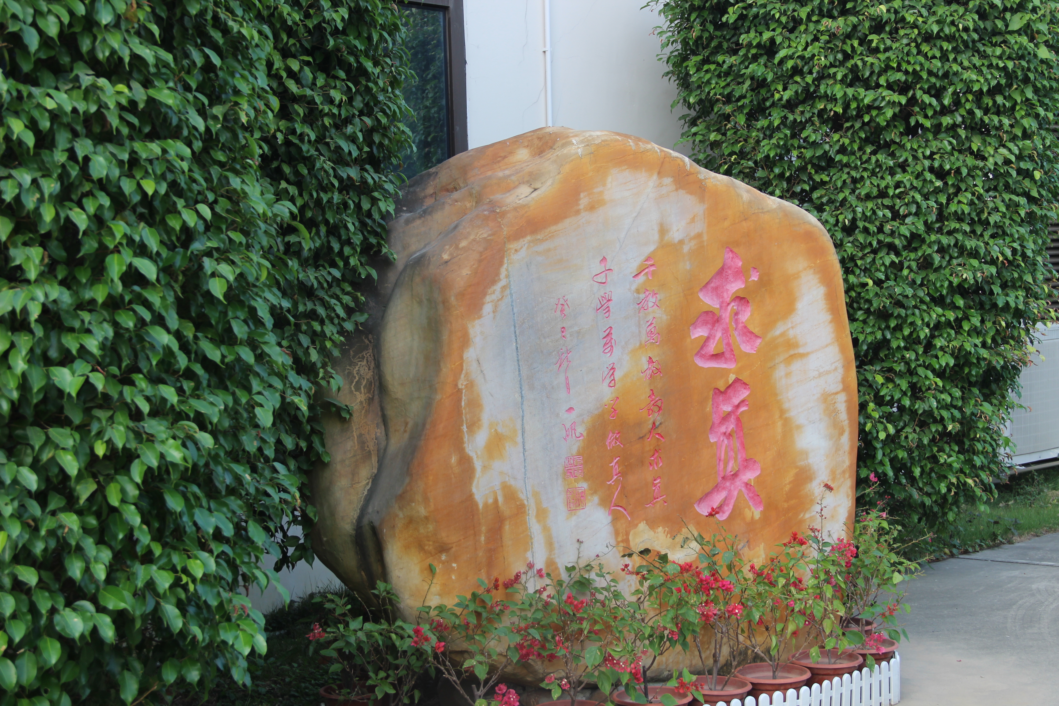 深圳市安芳小学