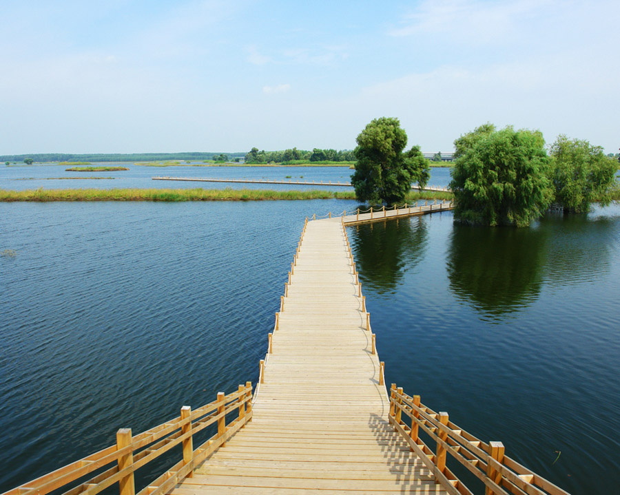 辽河湿地