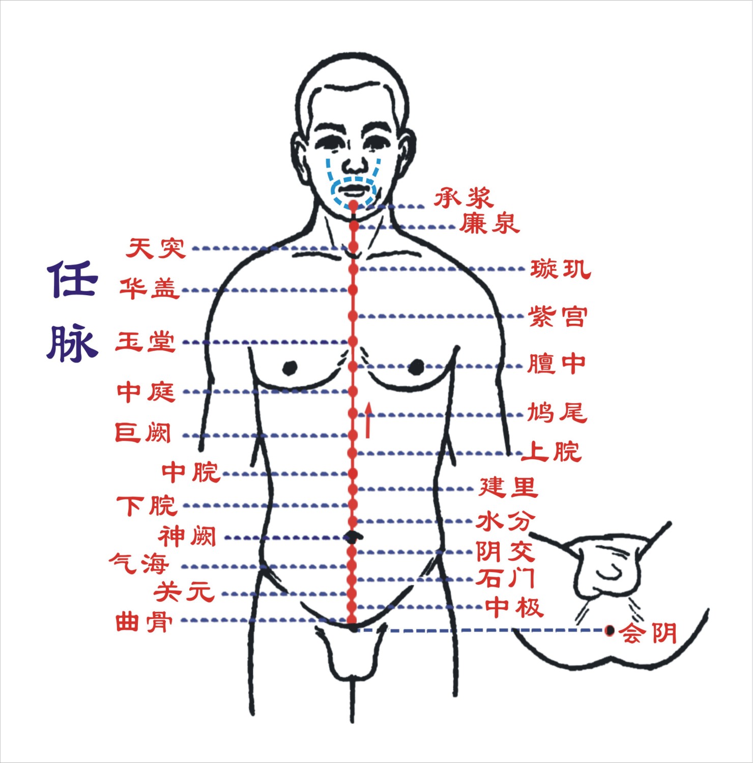 ">任脉最早记载于《 a target="_blank" href="/item/黄帝内经/97915"