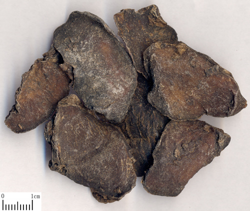  p>制南星为 a href="#" data-lemmaid="6416255">禹南星 /a>,又称会