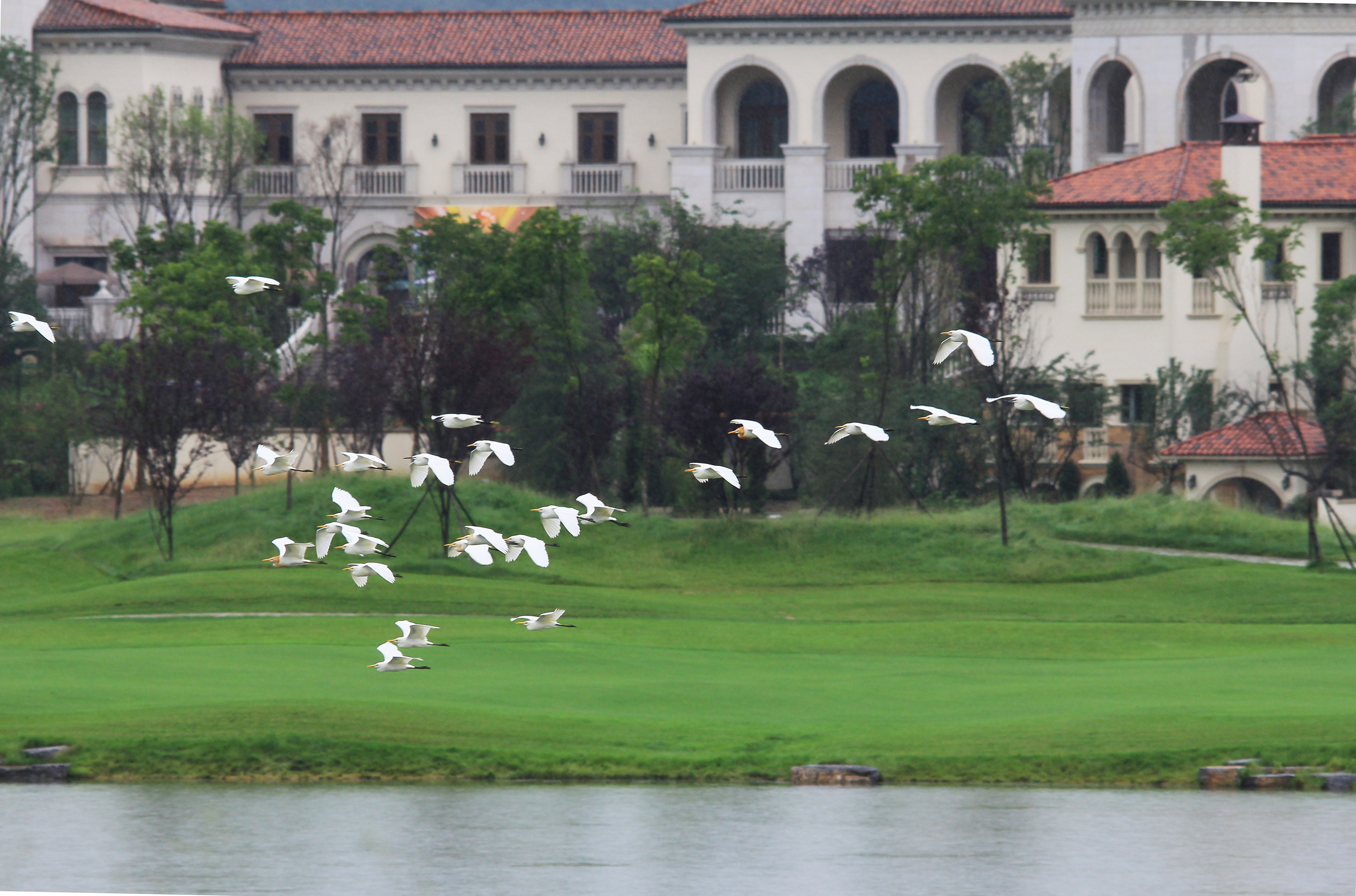 乐湾国际位于贵阳 a target="_blank" href="/item/乌当区东风镇